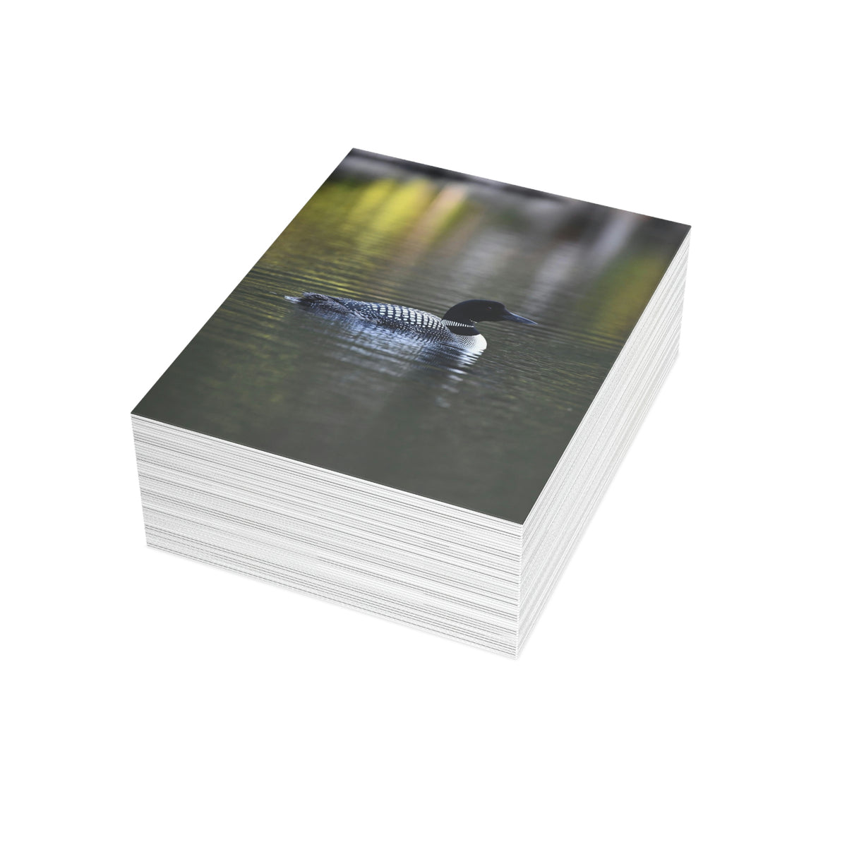 Common Loon Greeting Cards (1, 10, 30, and 50pcs)