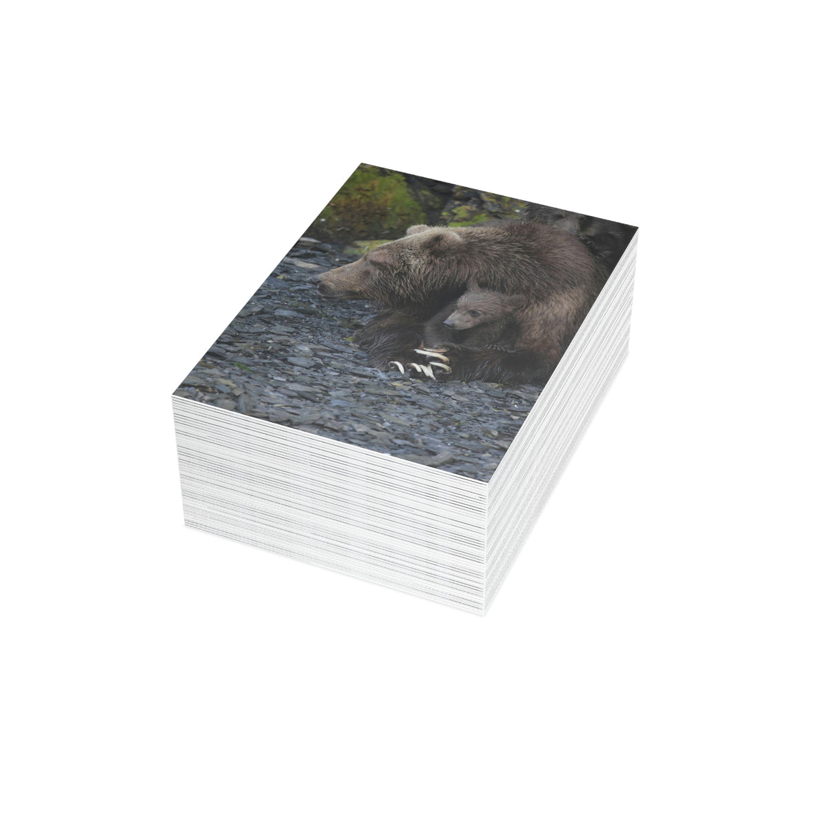 Embracing Sow Greeting Cards (1, 10, 30, and 50pcs)