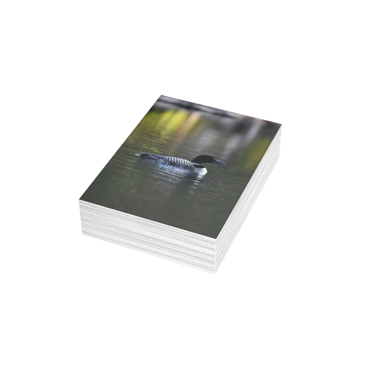 Common Loon Greeting Cards (1, 10, 30, and 50pcs)