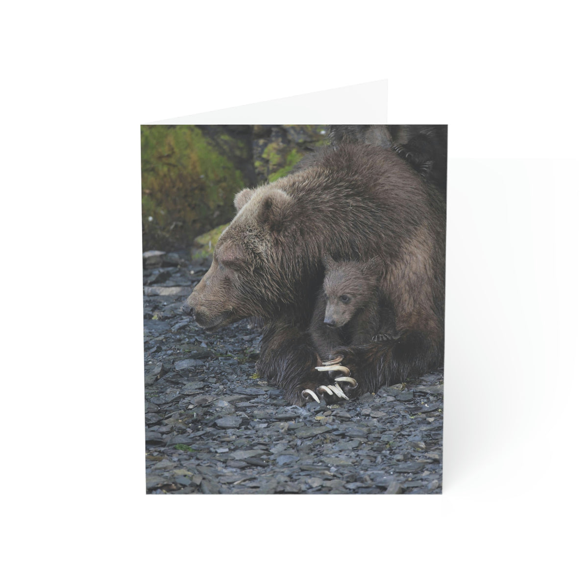 Embracing Sow Greeting Cards (1, 10, 30, and 50pcs)