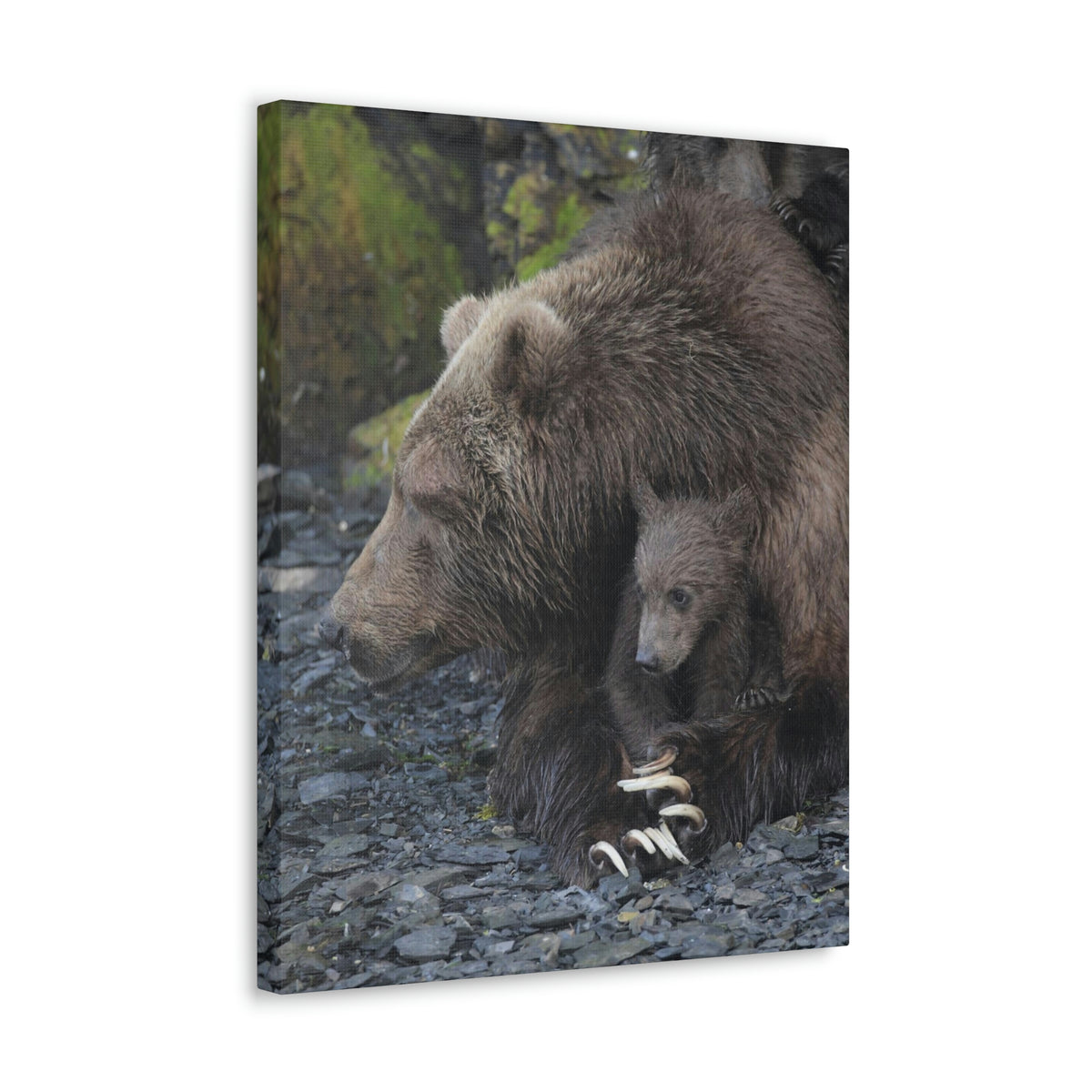 Embracing Sow Classic Canvas