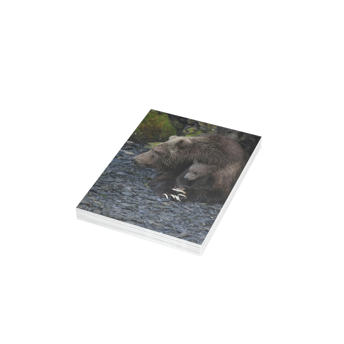 Embracing Sow Greeting Cards (1, 10, 30, and 50pcs)