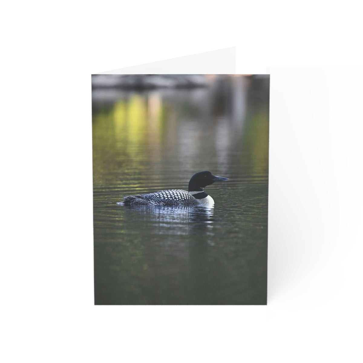 Common Loon Greeting Cards (1, 10, 30, and 50pcs)