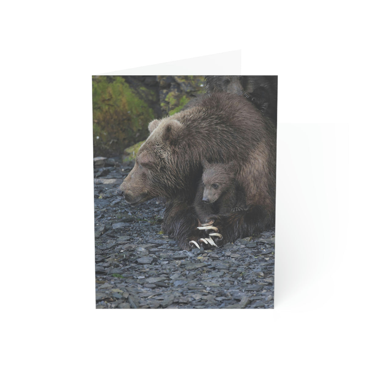Embracing Sow Greeting Cards (1, 10, 30, and 50pcs)