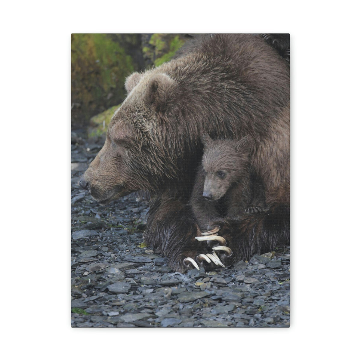 Embracing Sow Classic Canvas