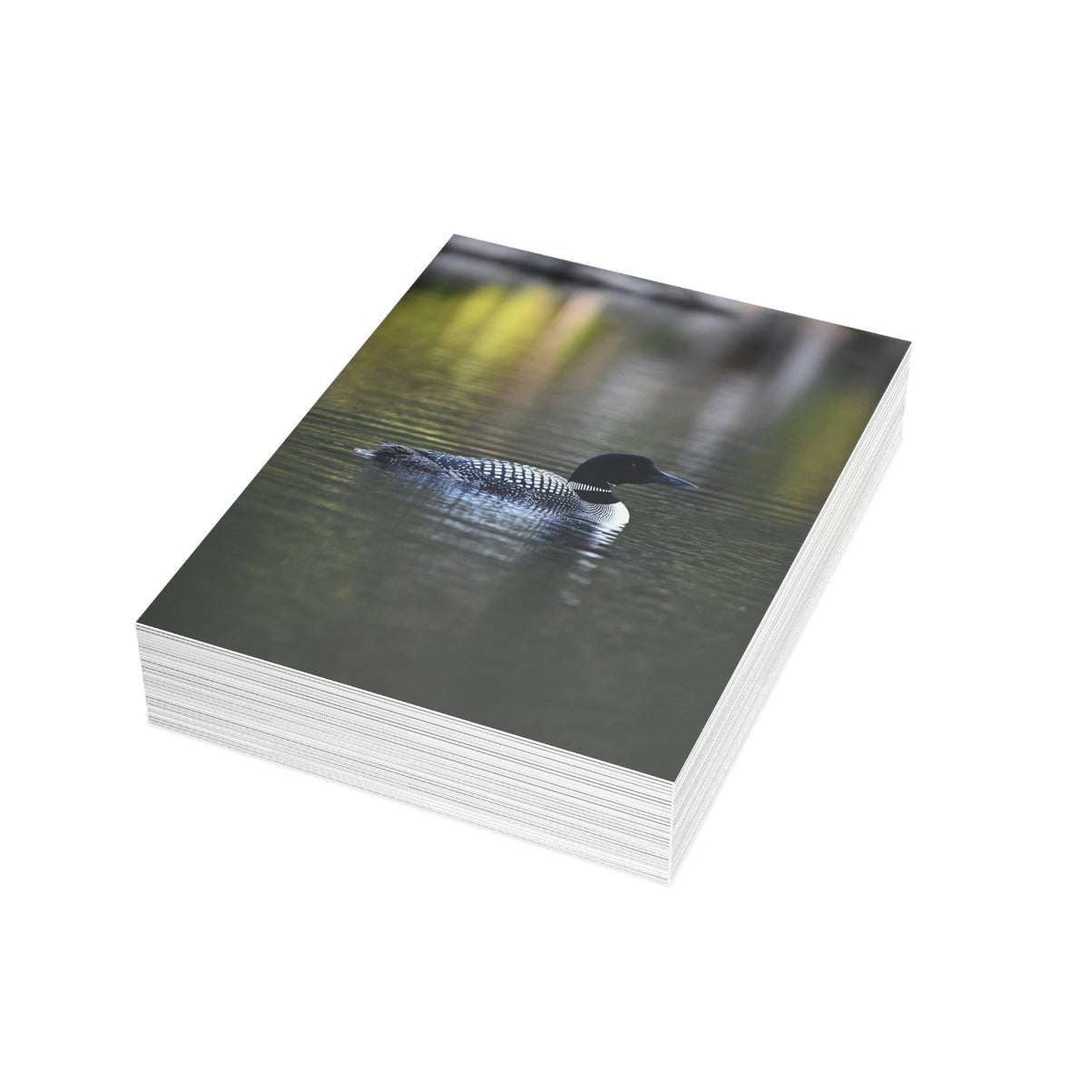 Common Loon Greeting Cards (1, 10, 30, and 50pcs)