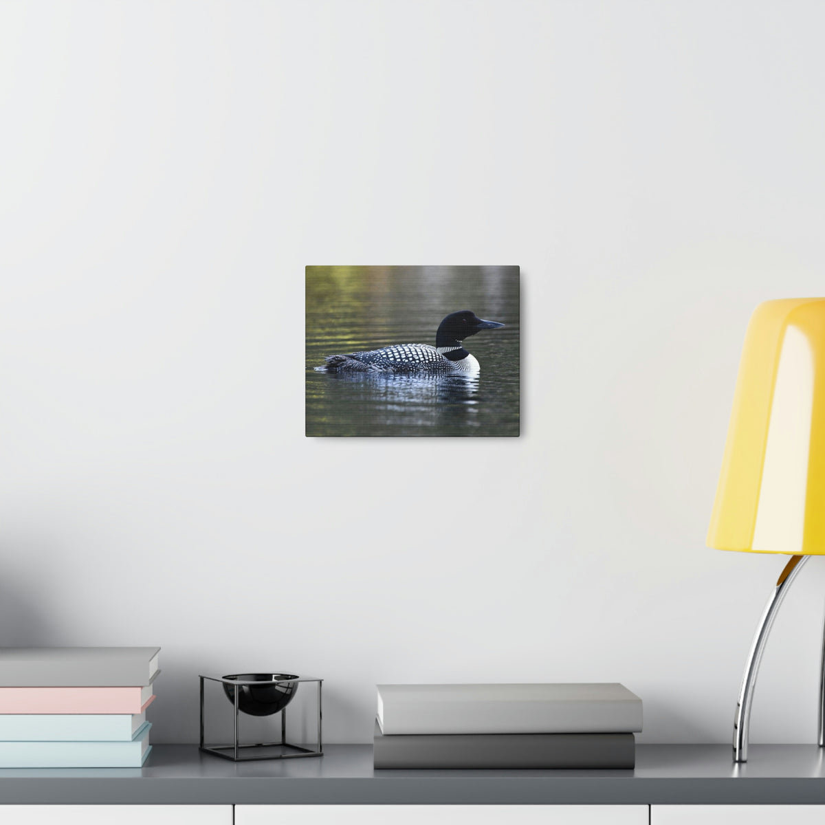 Common Loon Canvas Gallery Wraps