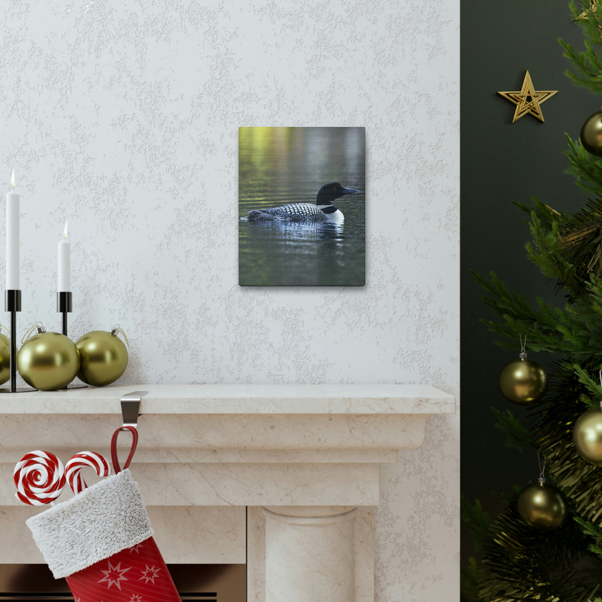 Common Loon Canvas Gallery Wraps