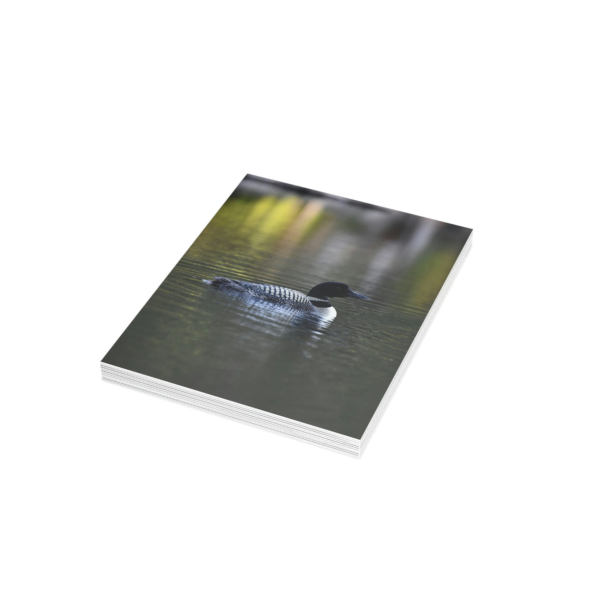Common Loon Greeting Cards (1, 10, 30, and 50pcs)