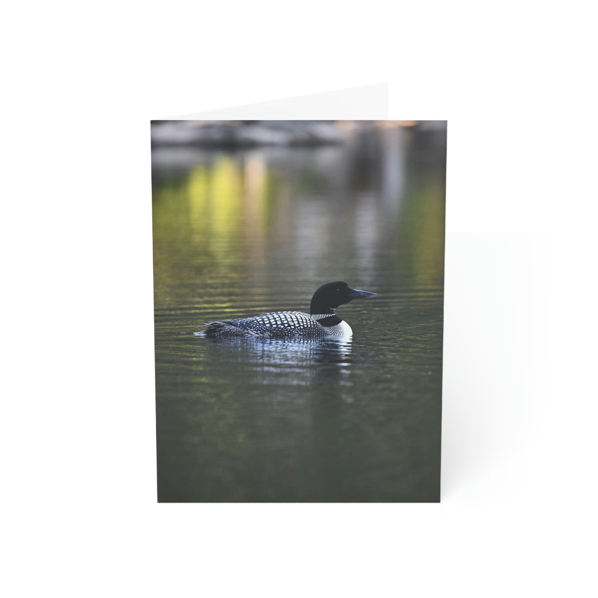 Common Loon Greeting Cards (1, 10, 30, and 50pcs)