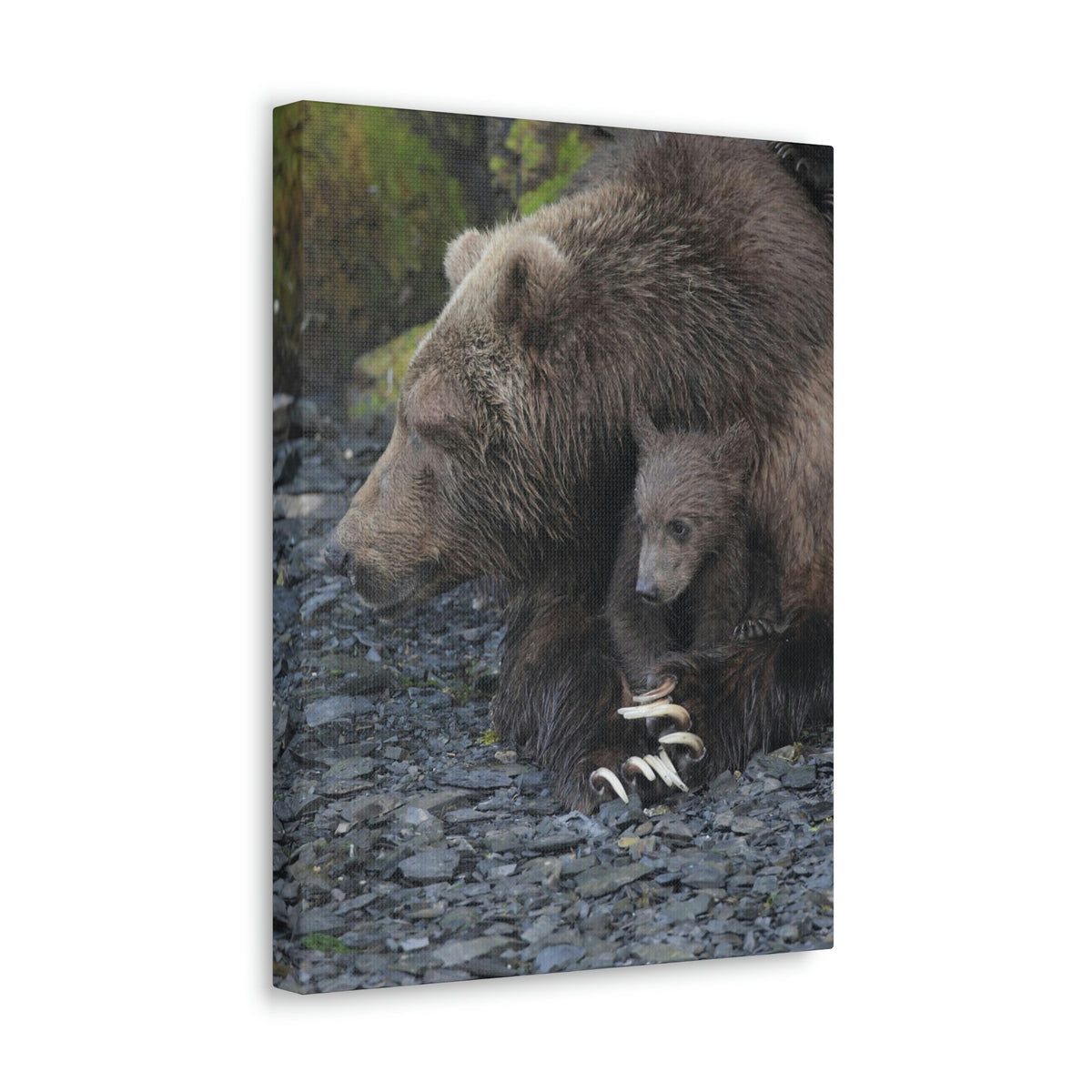 Embracing Sow Classic Canvas