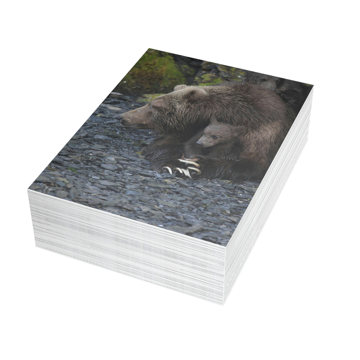 Embracing Sow Greeting Cards (1, 10, 30, and 50pcs)