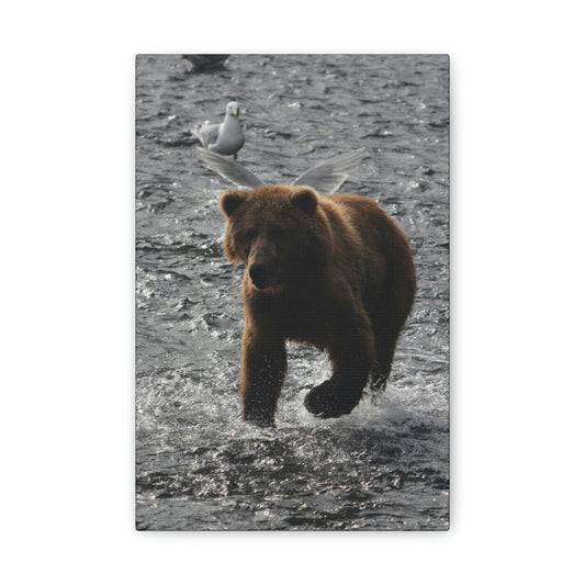 Angel Bear Classic Canvas