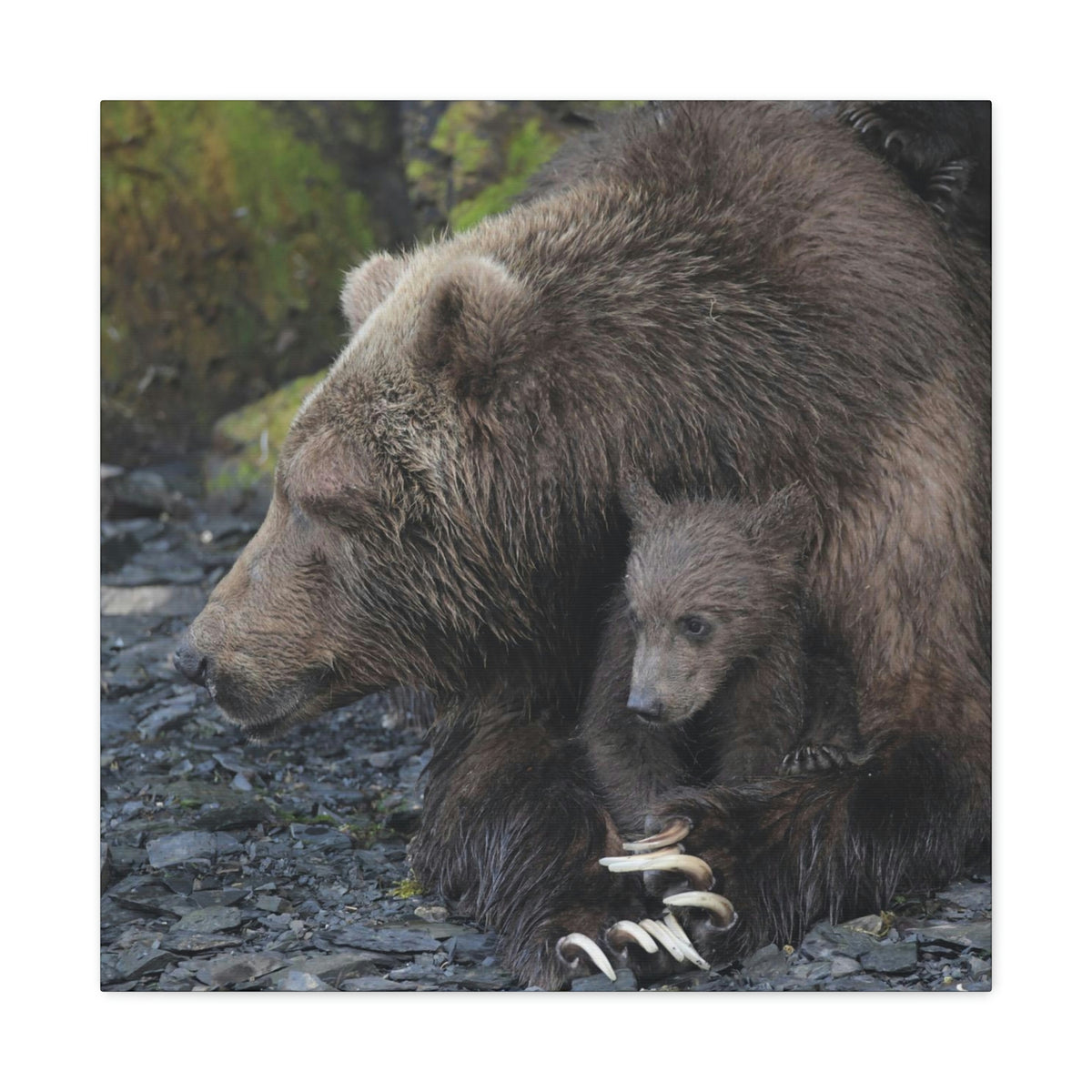 Embracing Sow Classic Canvas