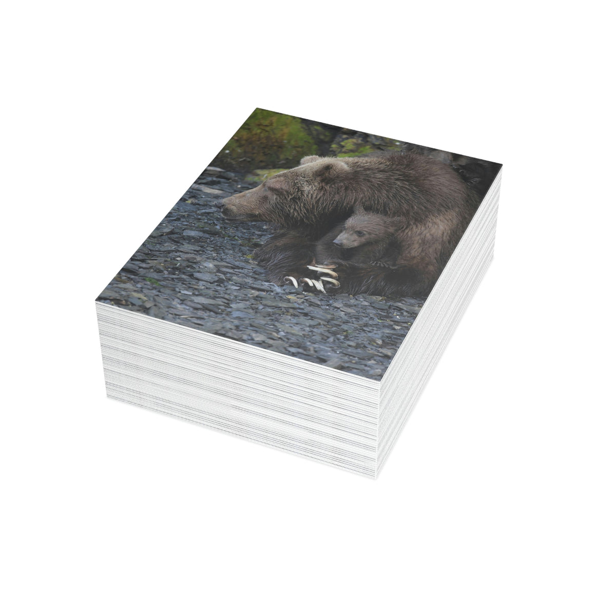 Embracing Sow Greeting Cards (1, 10, 30, and 50pcs)