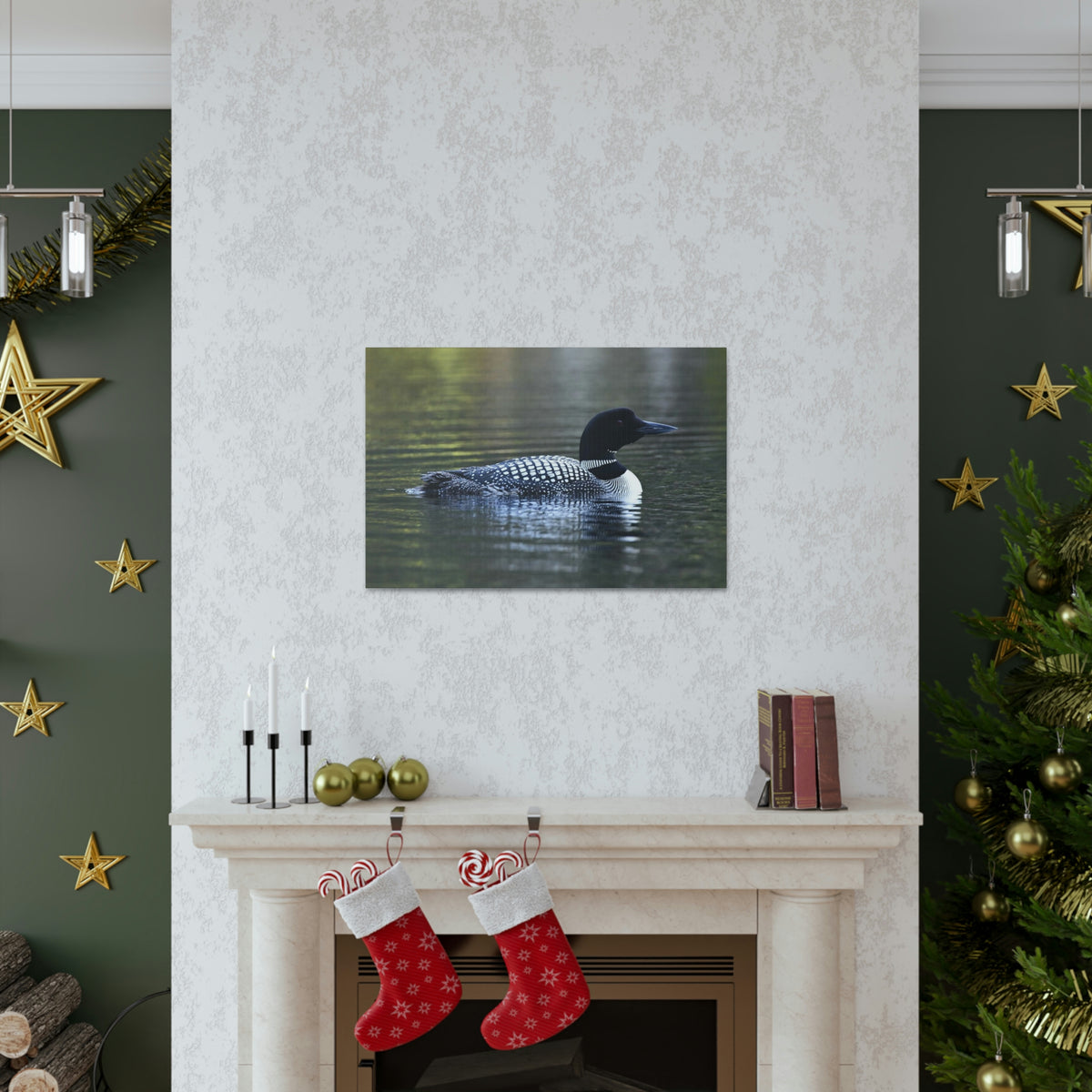Common Loon Canvas Gallery Wraps