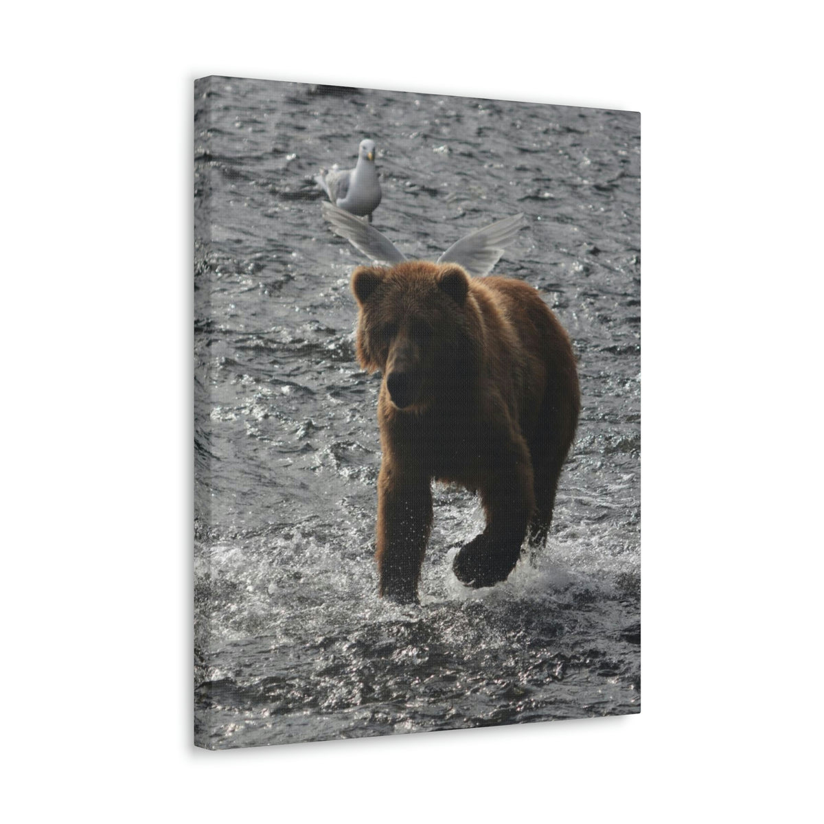 Angel Bear Classic Canvas