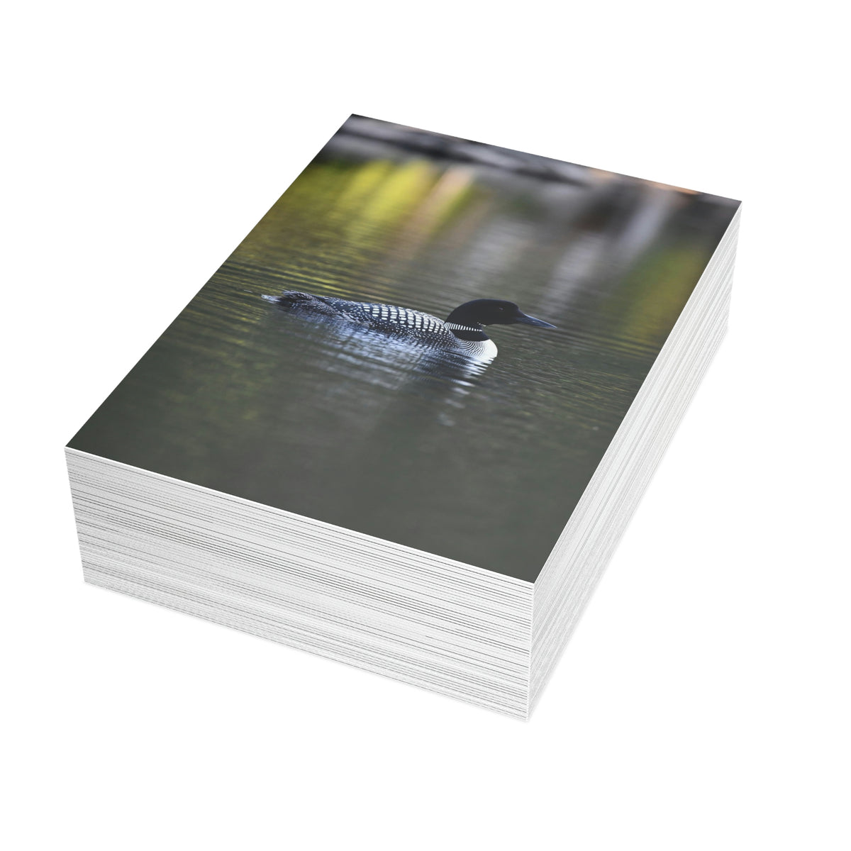 Common Loon Greeting Cards (1, 10, 30, and 50pcs)