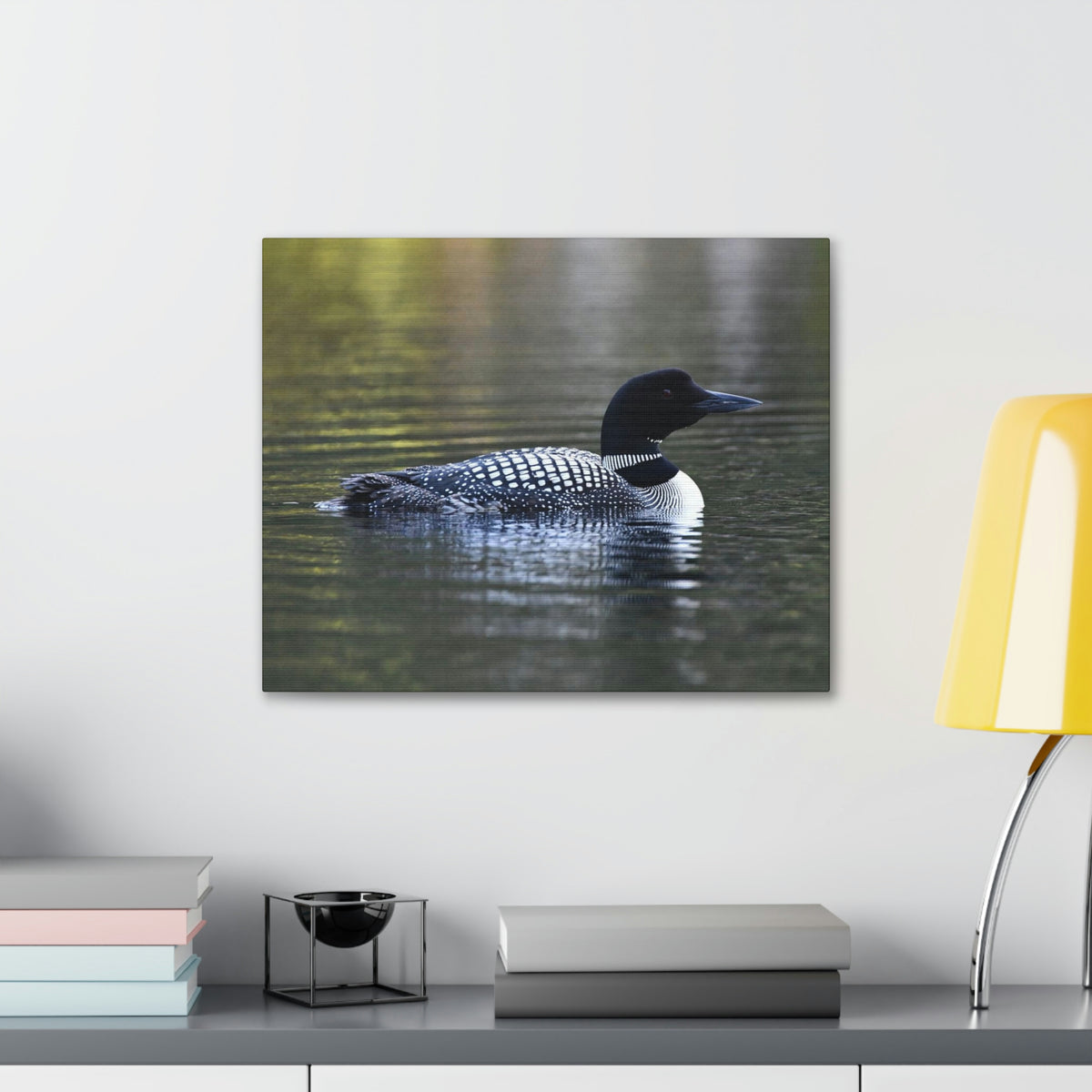 Common Loon Canvas Gallery Wraps