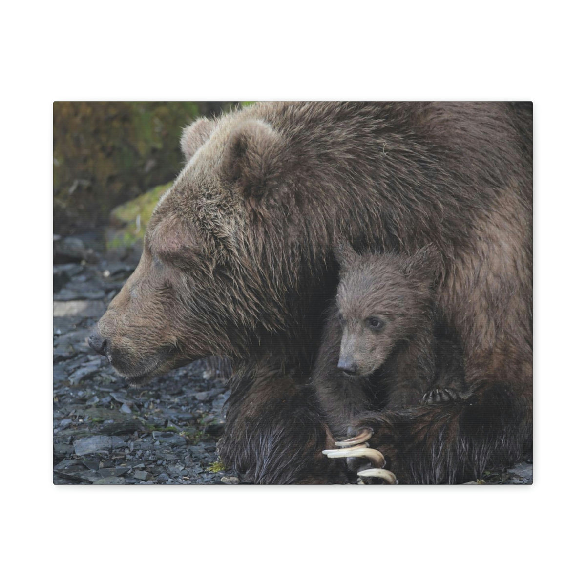 Embracing Sow Classic Canvas
