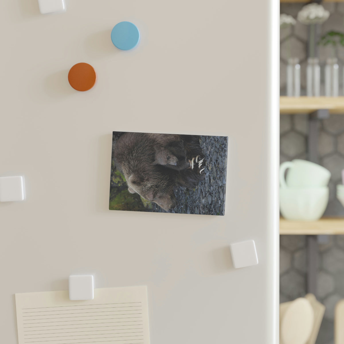 Embracing Sow Button Magnet, Rectangle (1 & 10 pcs)