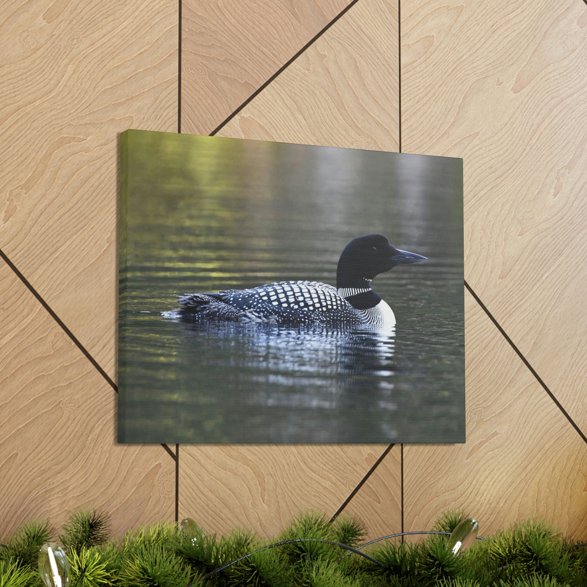 Common Loon Canvas Gallery Wraps