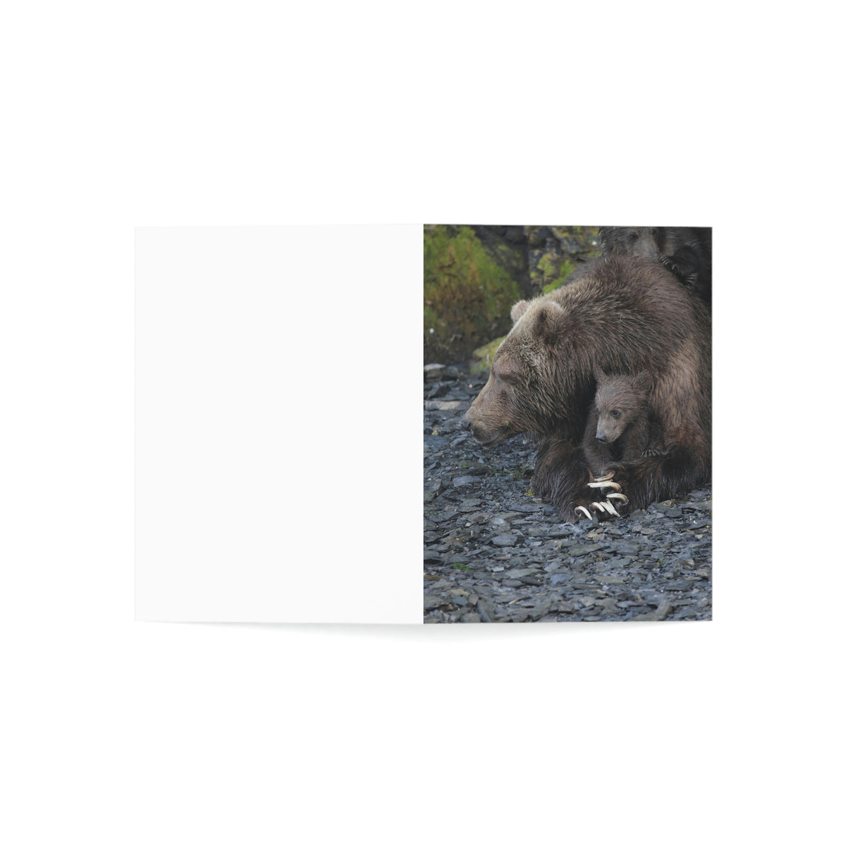 Embracing Sow Greeting Cards (1, 10, 30, and 50pcs)
