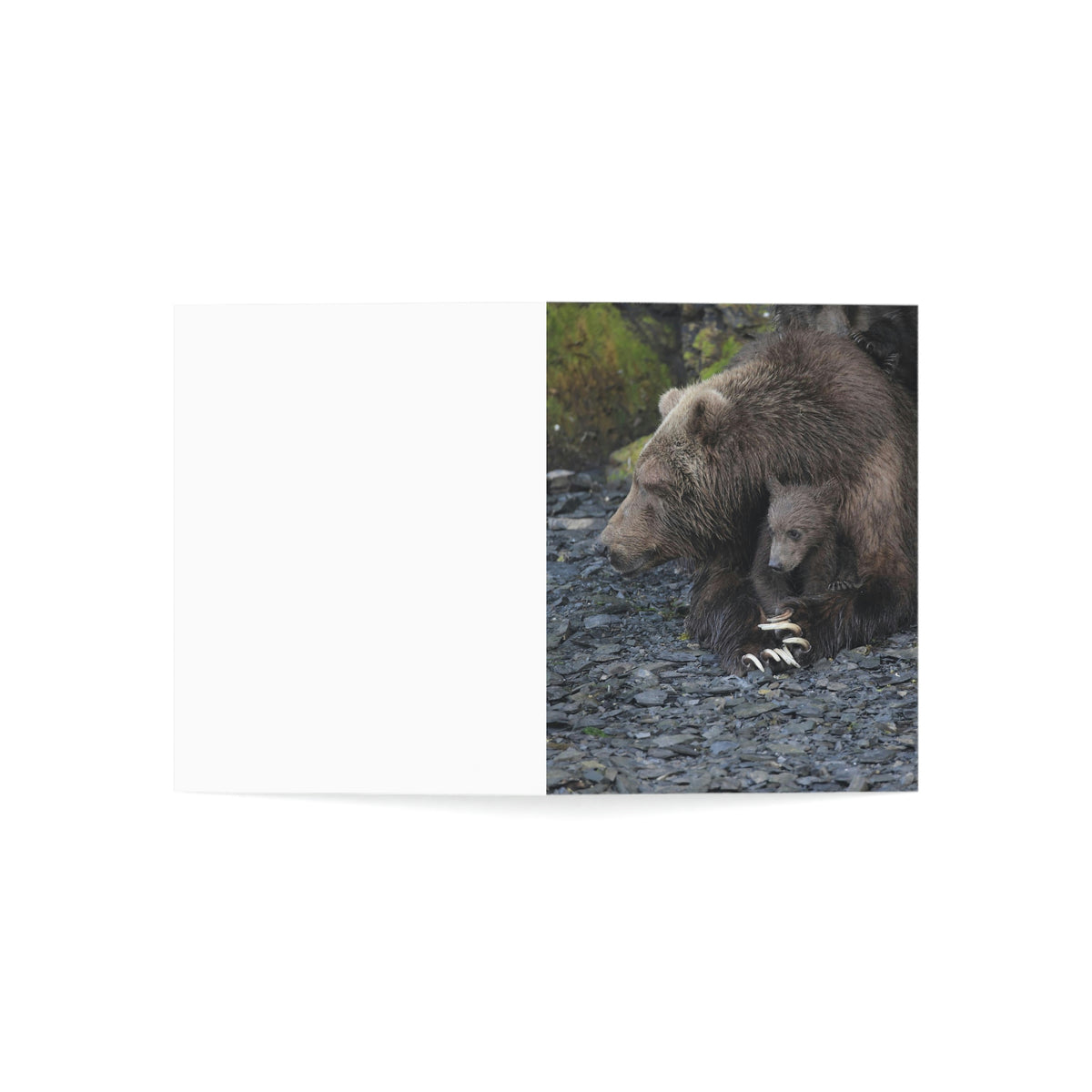 Embracing Sow Greeting Cards (1, 10, 30, and 50pcs)