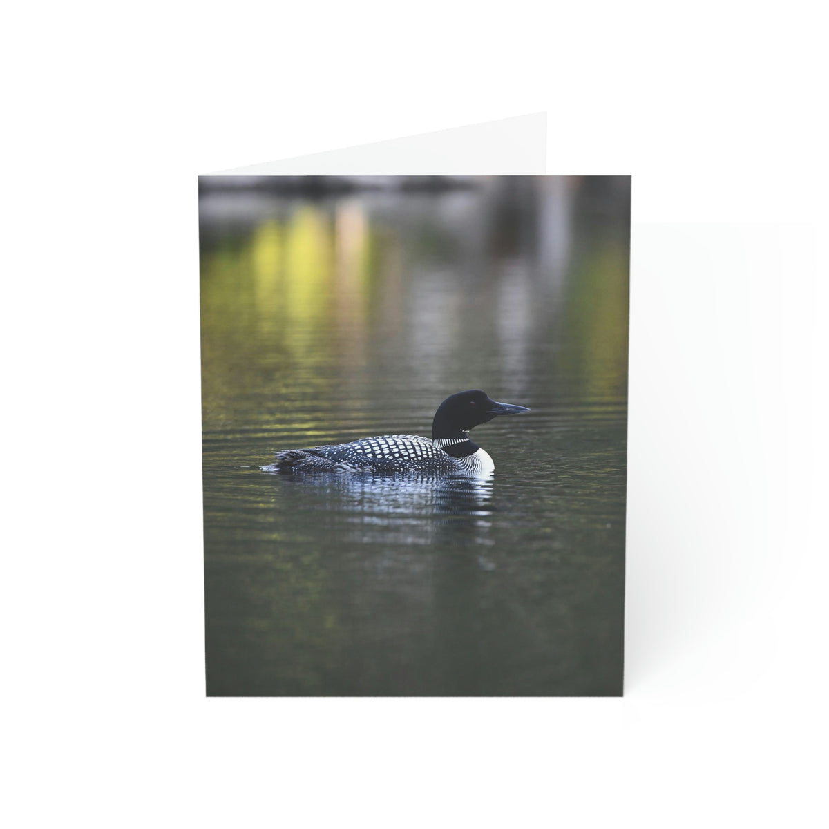 Common Loon Greeting Cards (1, 10, 30, and 50pcs)