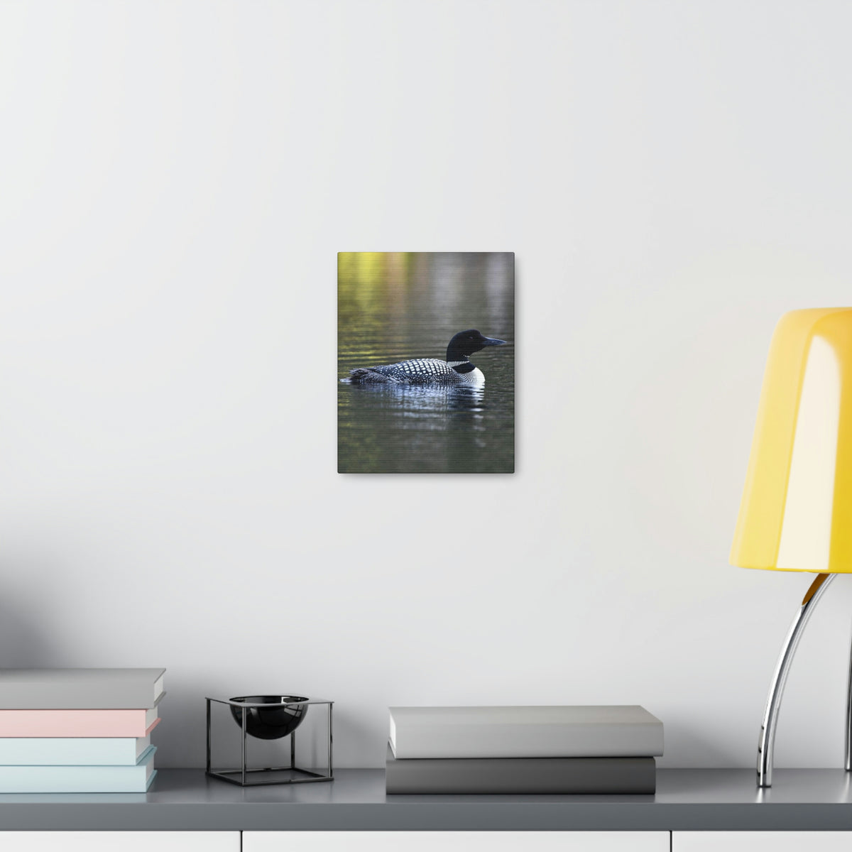 Common Loon Canvas Gallery Wraps