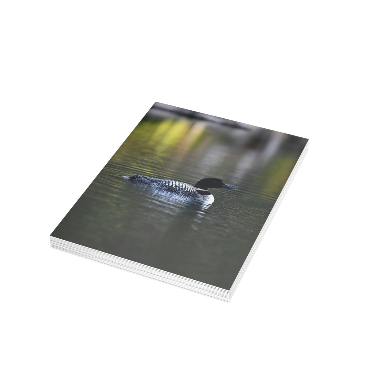 Common Loon Greeting Cards (1, 10, 30, and 50pcs)