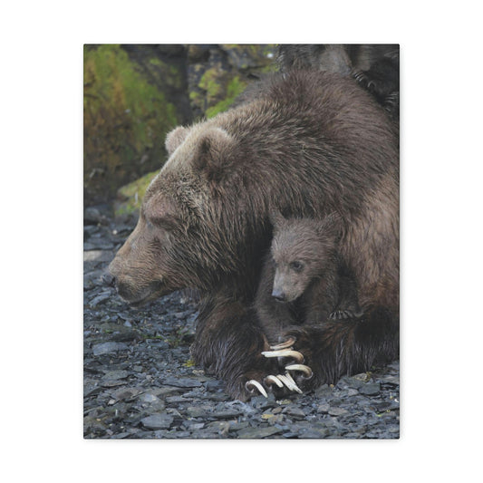 Embracing Sow Classic Canvas