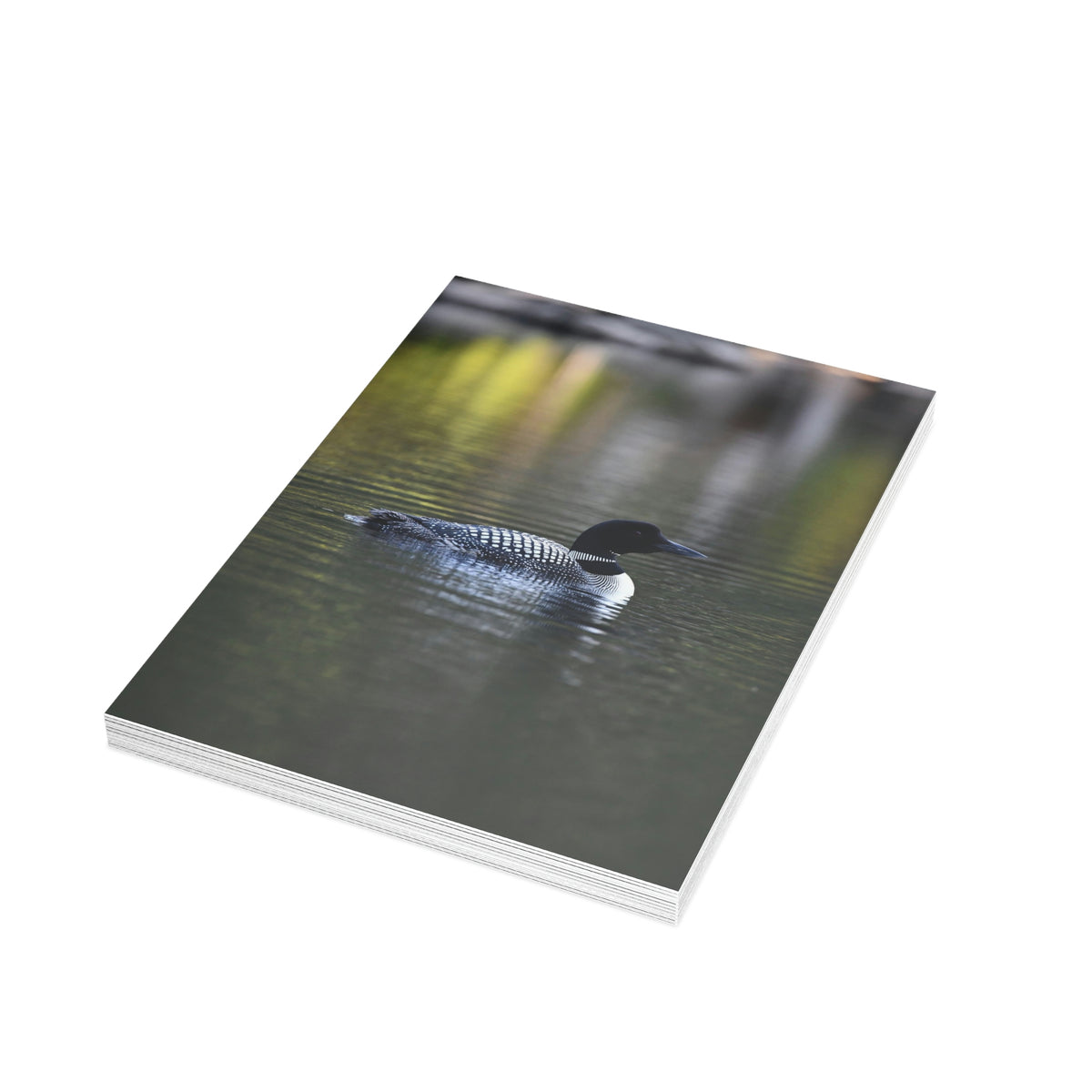 Common Loon Greeting Cards (1, 10, 30, and 50pcs)