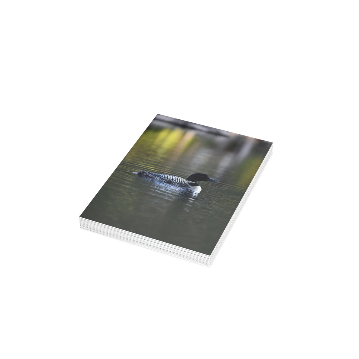 Common Loon Greeting Cards (1, 10, 30, and 50pcs)