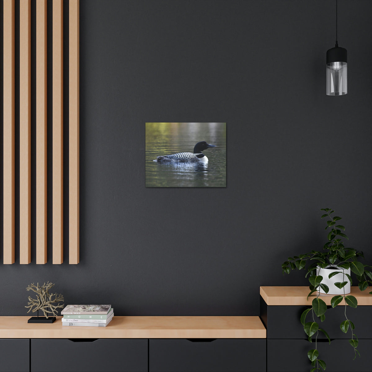 Common Loon Canvas Gallery Wraps
