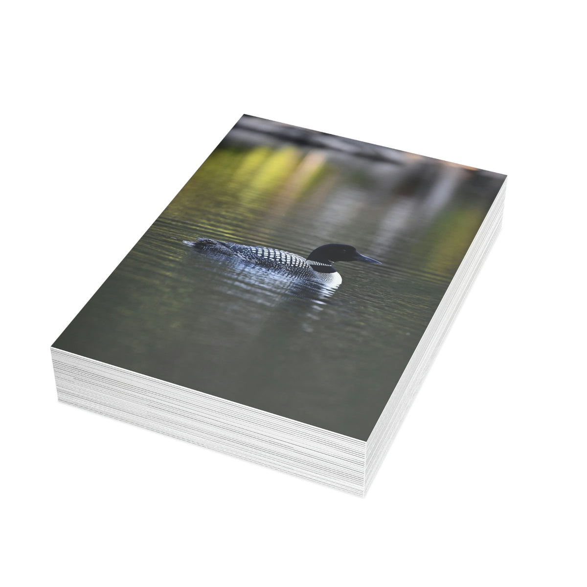 Common Loon Greeting Cards (1, 10, 30, and 50pcs)