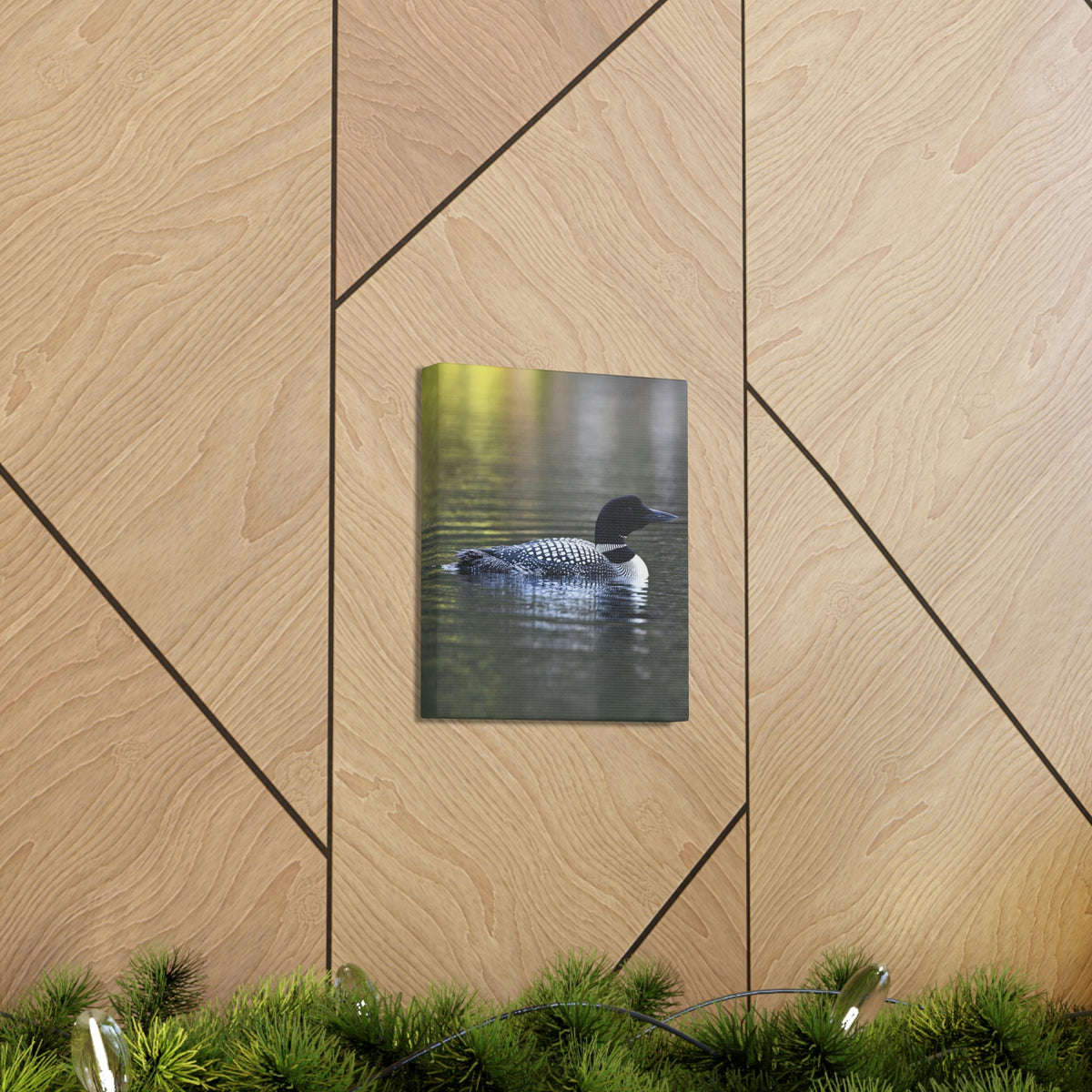 Common Loon Canvas Gallery Wraps