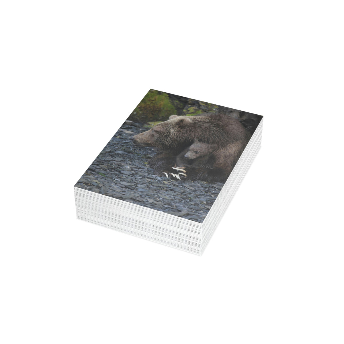 Embracing Sow Greeting Cards (1, 10, 30, and 50pcs)