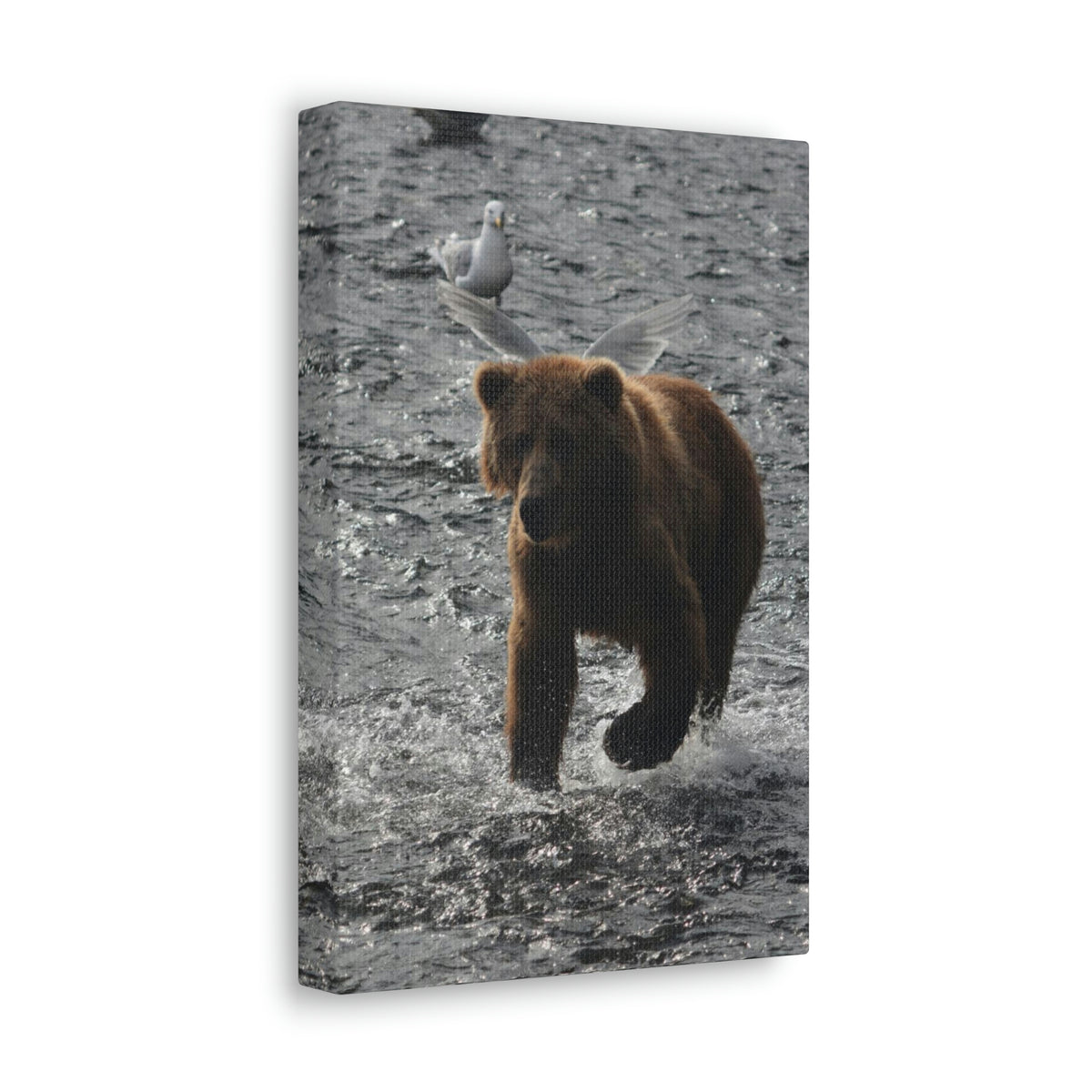 Angel Bear Classic Canvas