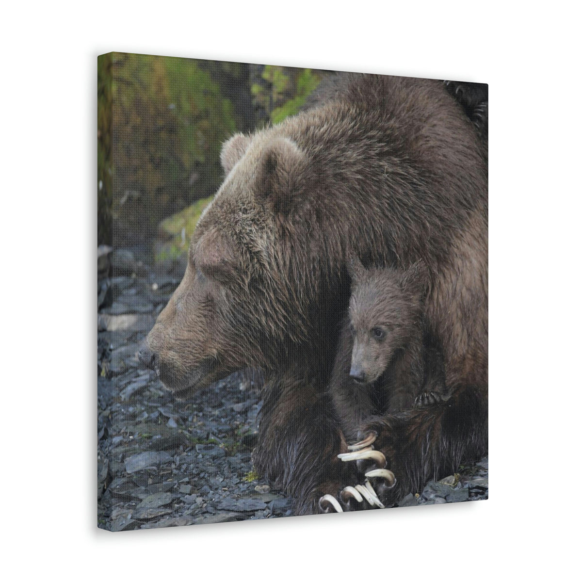 Embracing Sow Classic Canvas