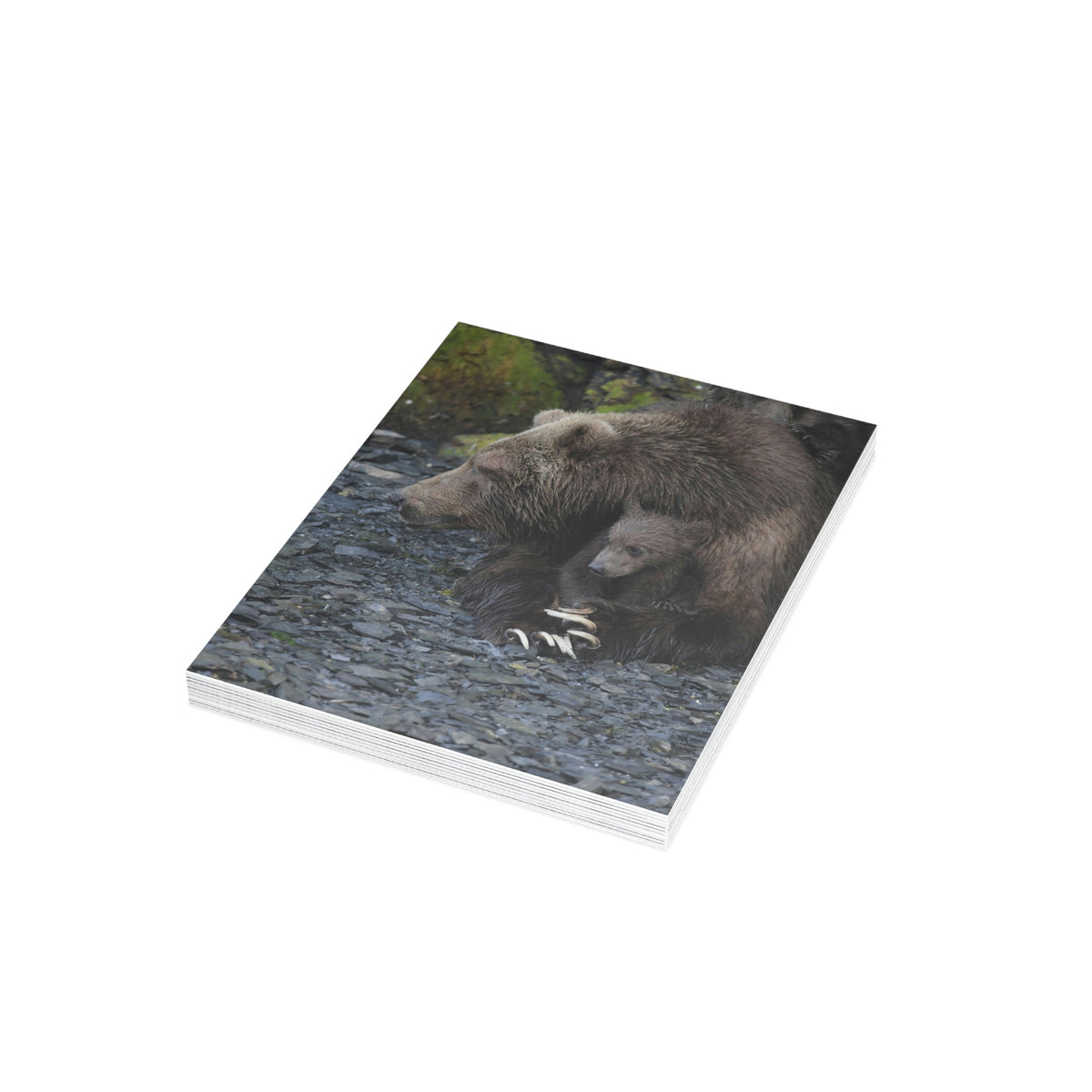 Embracing Sow Greeting Cards (1, 10, 30, and 50pcs)