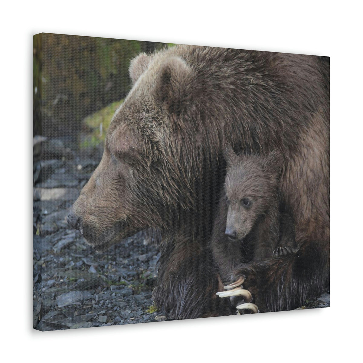 Embracing Sow Classic Canvas