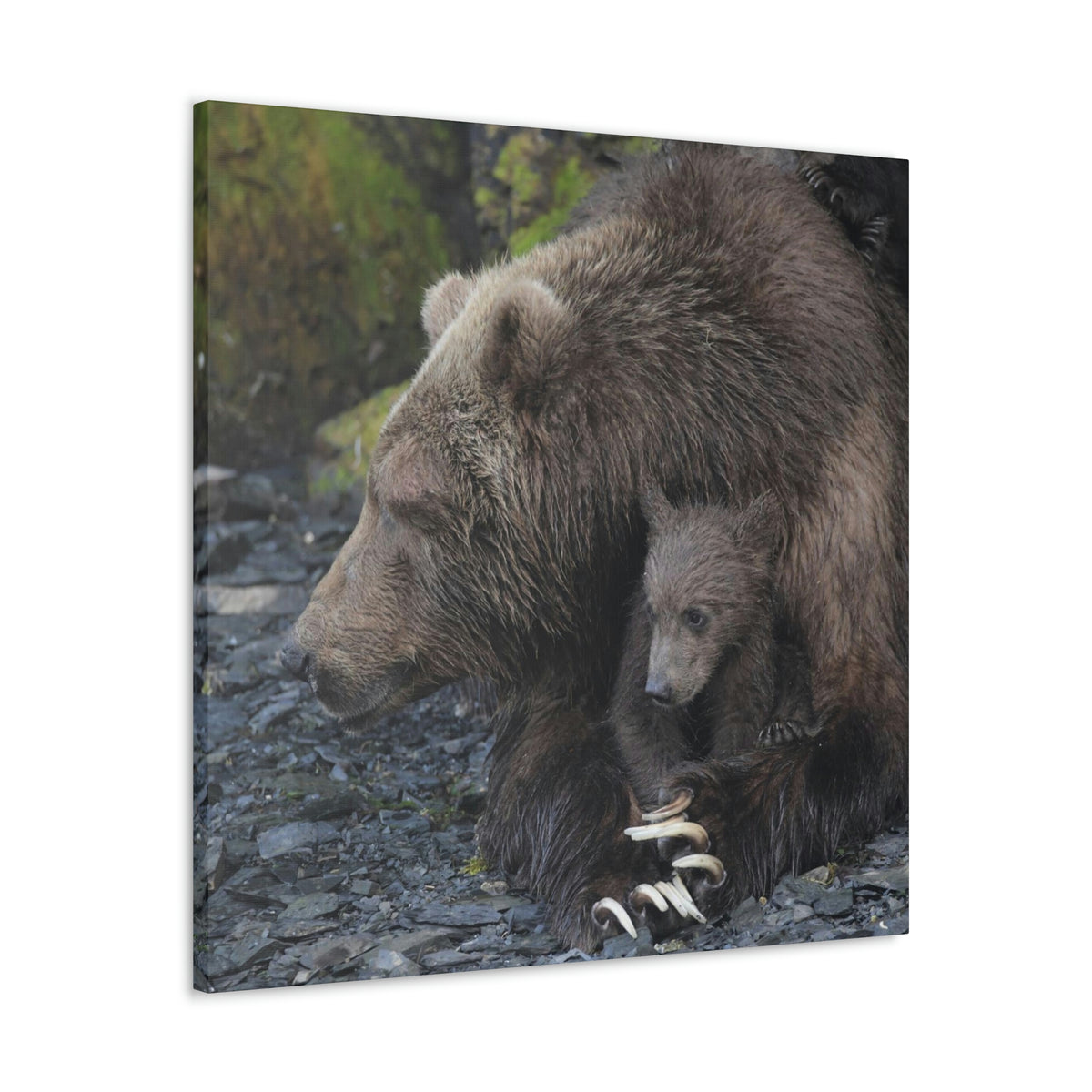 Embracing Sow Classic Canvas