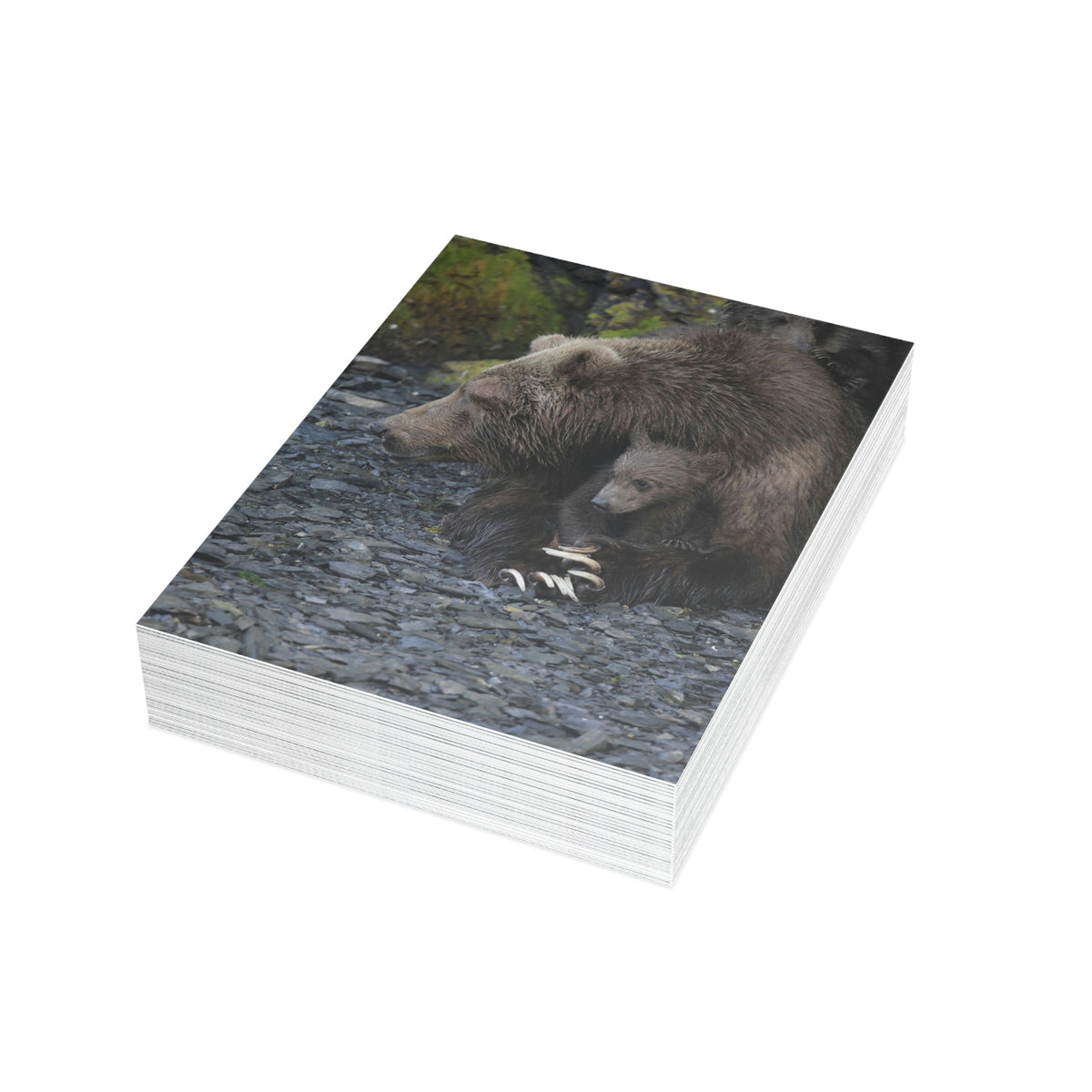 Embracing Sow Greeting Cards (1, 10, 30, and 50pcs)