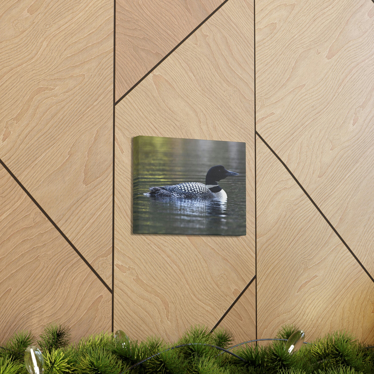 Common Loon Canvas Gallery Wraps