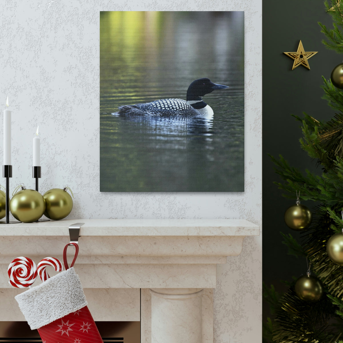 Common Loon Canvas Gallery Wraps