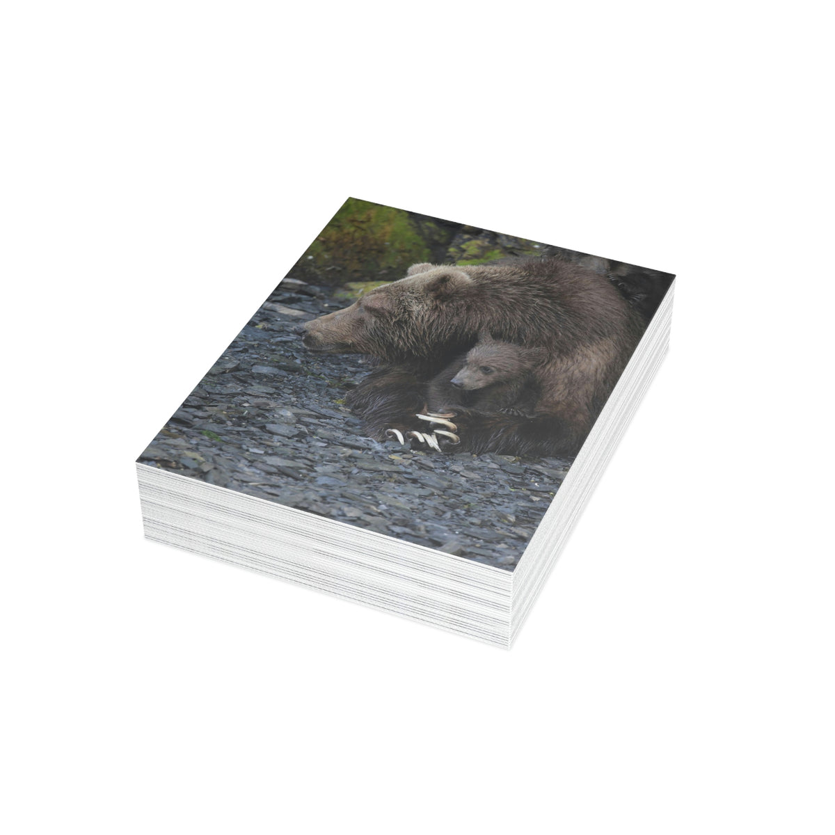 Embracing Sow Greeting Cards (1, 10, 30, and 50pcs)