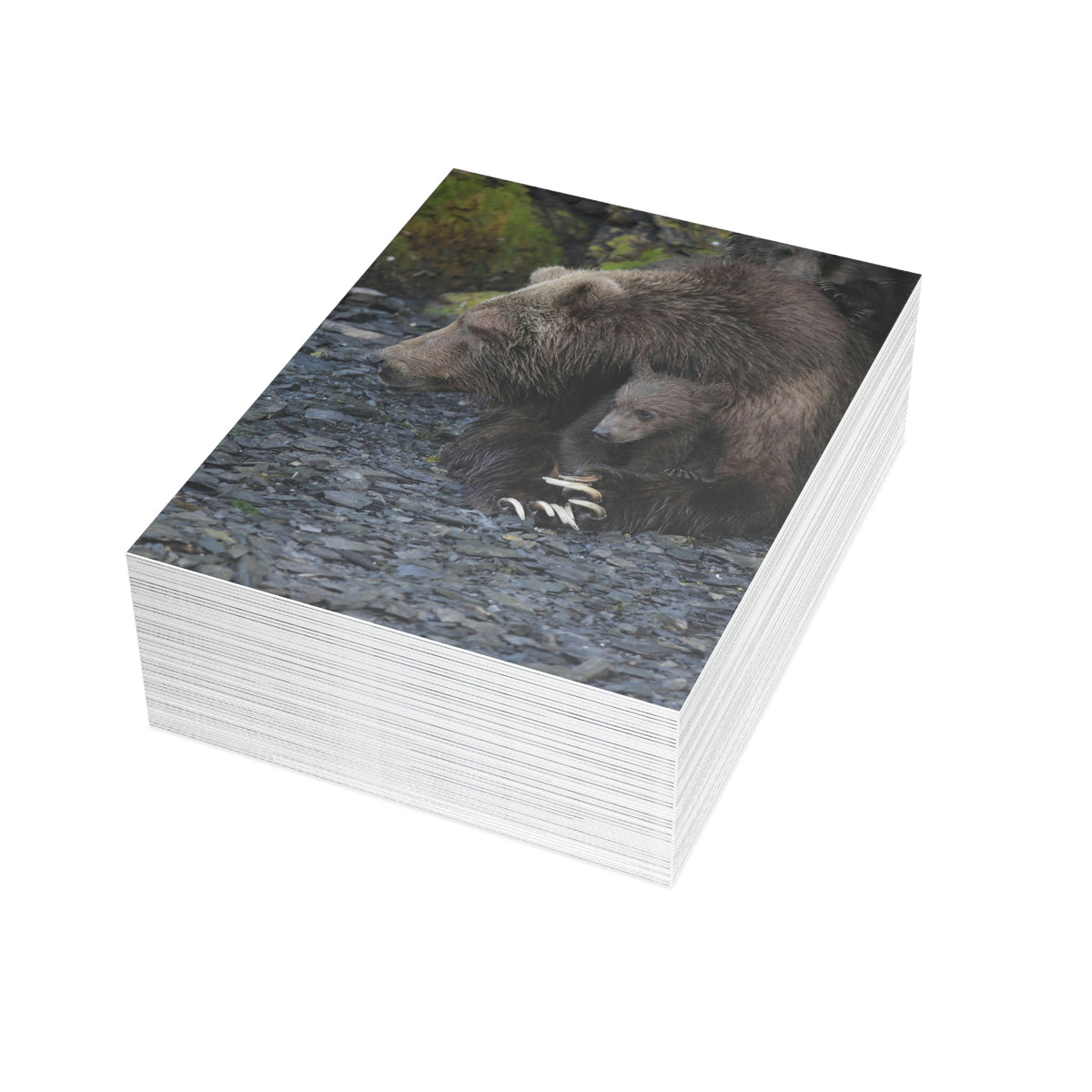 Embracing Sow Greeting Cards (1, 10, 30, and 50pcs)