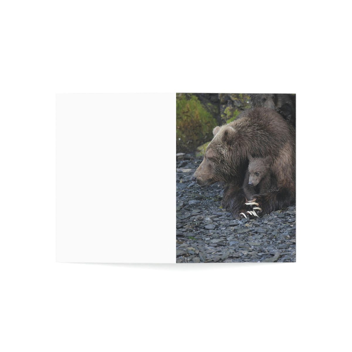 Embracing Sow Greeting Cards (1, 10, 30, and 50pcs)