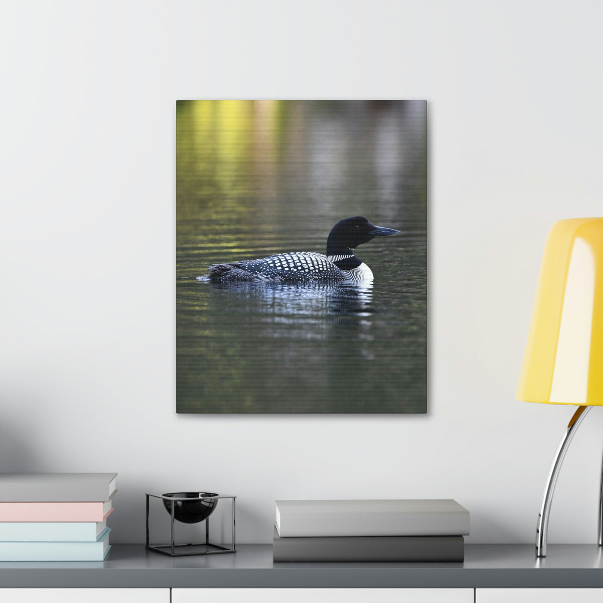 Common Loon Canvas Gallery Wraps
